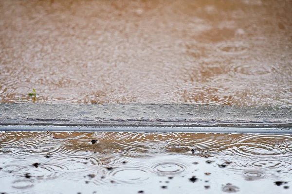 Tramway track flooded — Stock Photo, Image