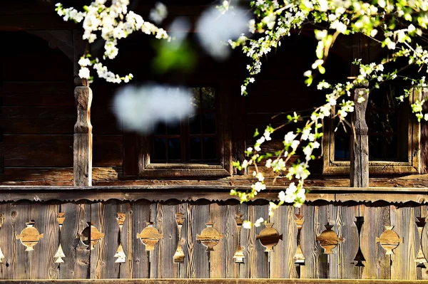 Traditionelles altes Holzhaus im Frühling — Stockfoto