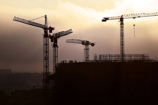 Construction cranes at sunset — Stock Photo, Image