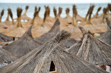 Deniz kenarında Reed şemsiye