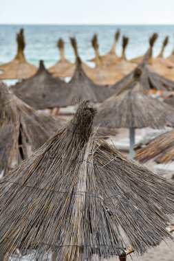 Deniz kenarında Reed şemsiye