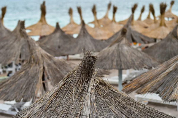 Deniz kenarında Reed şemsiye