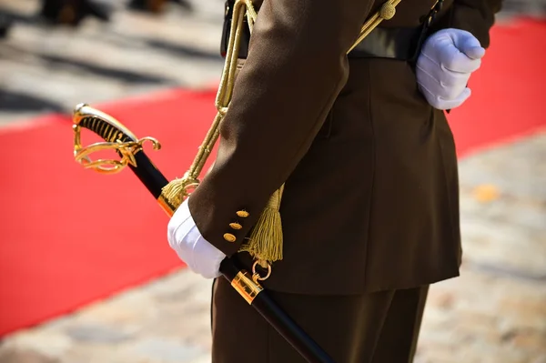 Guard of honor during a military ceremony — Stock Photo, Image