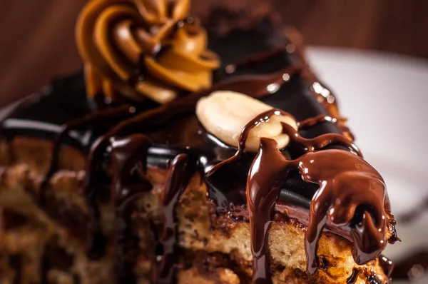 Domowe ciasto czekoladowe z nasion orzecha włoskiego i maku. — Zdjęcie stockowe