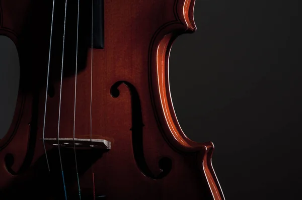 Скрипичные музыкальные инструменты оркестра крупным планом на черном — стоковое фото