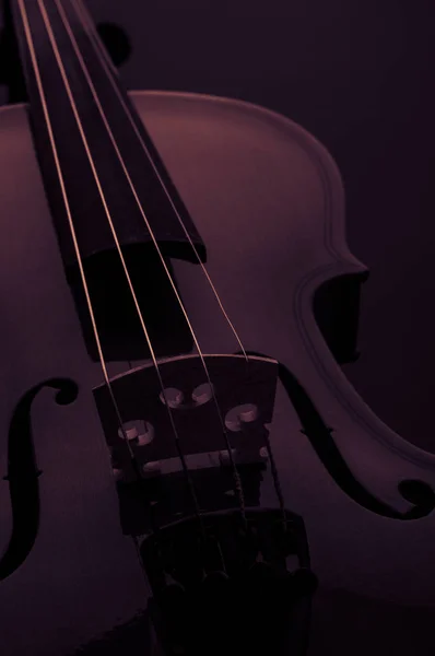 Viool muziekinstrumenten van orkest close-up op zwart — Stockfoto