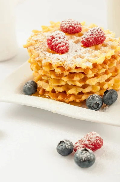 Homemade waffles with berries in plate on grey table — Stock Photo, Image