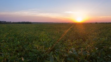 Manzara, güzel güneşli gün batımı bir alan