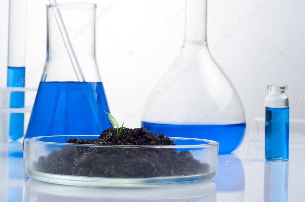 science, biology, ecology, research and people concept - close up of scientist hands holding petri dish with plant and soil sample in bio laboratory