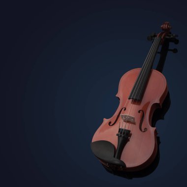 Violin musical instruments of orchestra closeup on black clipart