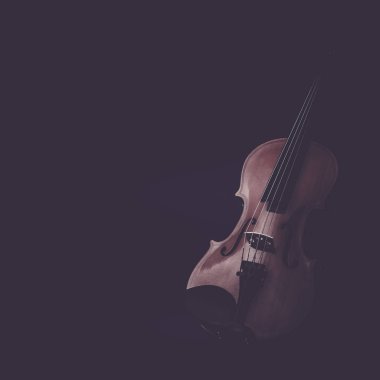 Orkestra portre siyah keman müzik aletleri