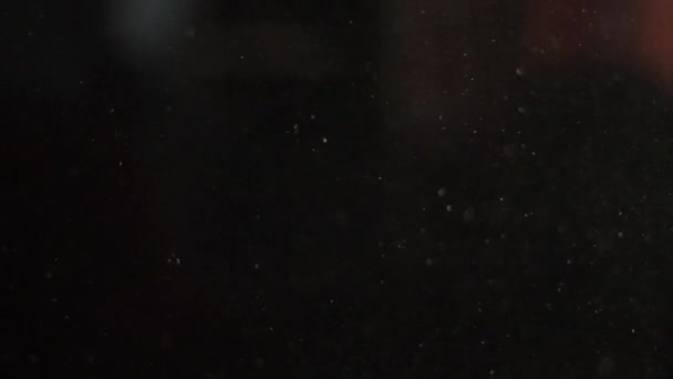 Particules de poussière sur fond noir volent lentement 