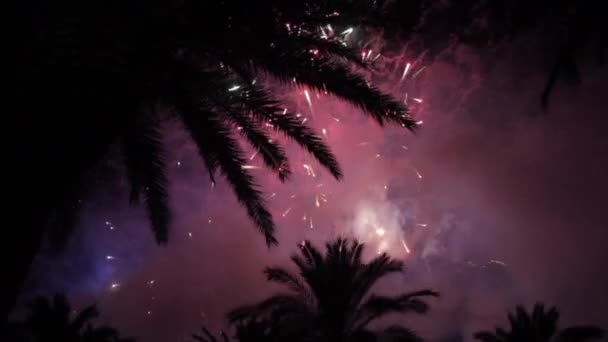 Fuegos artificiales múltiples. Fuegos artificiales. Coloridos fuegos artificiales en la noche de vacaciones — Vídeos de Stock