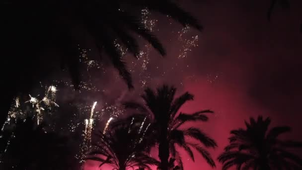 Feux d'artifice multiples. Un feu d'artifice. Feux d'artifice colorés à la nuit de vacances — Video