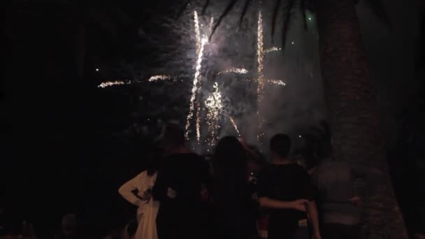 Fogos de artifício múltiplos. Fogos de artifício. Fogos de artifício coloridos na noite de férias — Vídeo de Stock