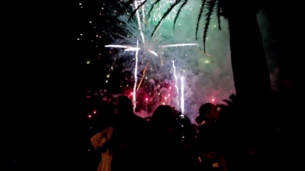 Feuerwerk gleich mehrfach. Feuerwerk. Farbenfrohes Feuerwerk in der Urlaubsnacht — Stockvideo