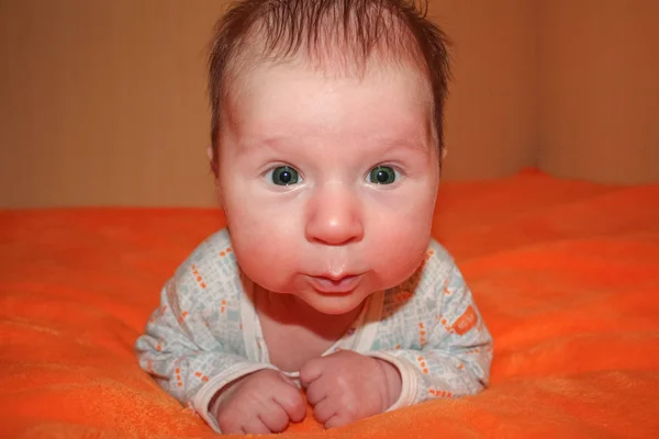 Toddler obraz słodki chłopczyk, portret dziecka. Ładny maluch z zielonymi oczami — Zdjęcie stockowe