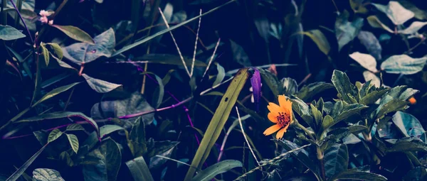 Tropik yapraklar arka planda. Doğal doku duvar kâğıdı.