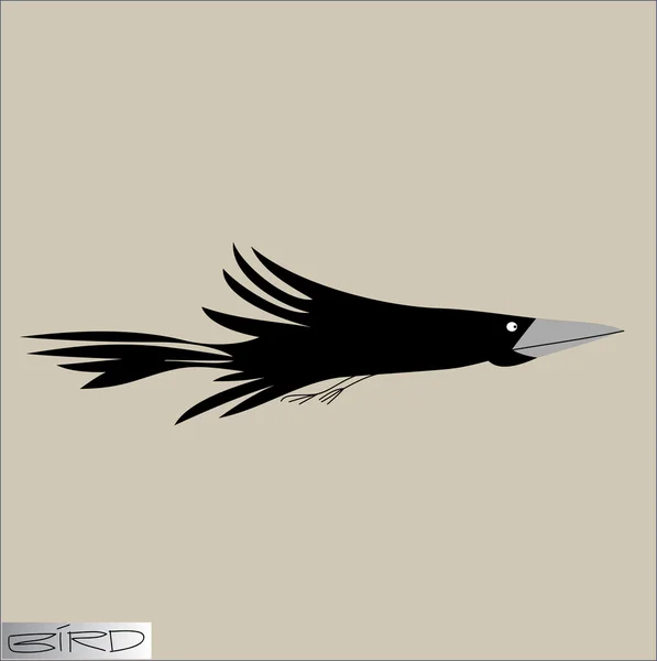 kuşlar grafik görüntü