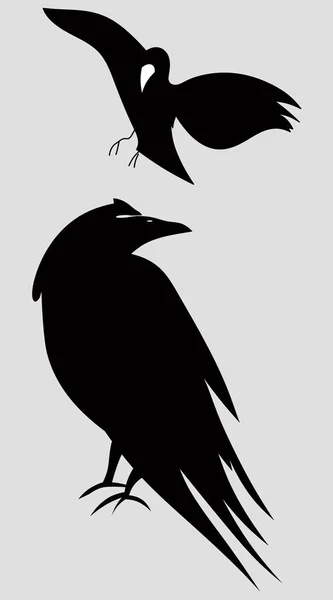 Silhouet Van Vogels Vector Grafische Pictogram — Stockvector