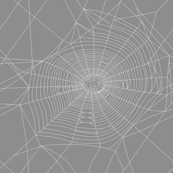 Spinnenweb Naadloze Vectortextuur — Stockvector