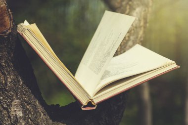 Yeşil çimen arka planda ağaç üzerine kitap