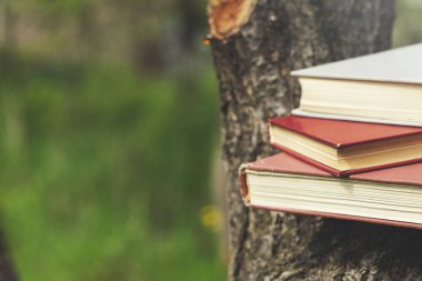 Ağaçtaki yeşil çimenli kitaplar.