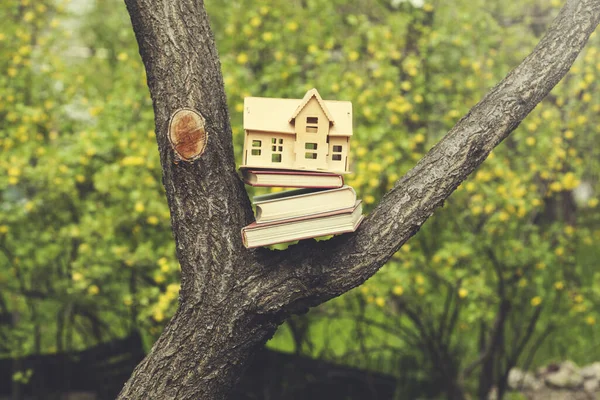 house model on books on the tree