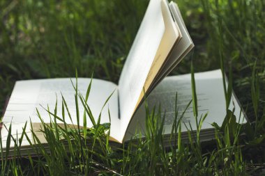 Yeşil çimen arka planında açık bir kitap