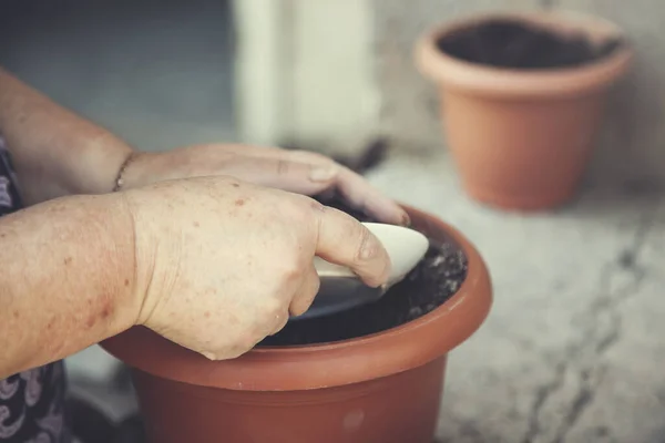 Anciana Mano Jarrón Suelo Con Planta — Foto de Stock