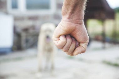 Öfkeli adam bahçedeki köpeği yumrukladı.