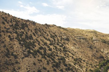 Gökyüzünün altındaki dağda yeşil ağaçlar