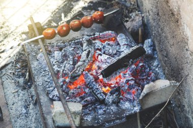 Ev bahçesinde ateşte kızartılmış domates
