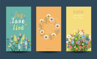 Çiçek kartı koleksiyonu. İlkbahar veya yaz illüstrasyonu