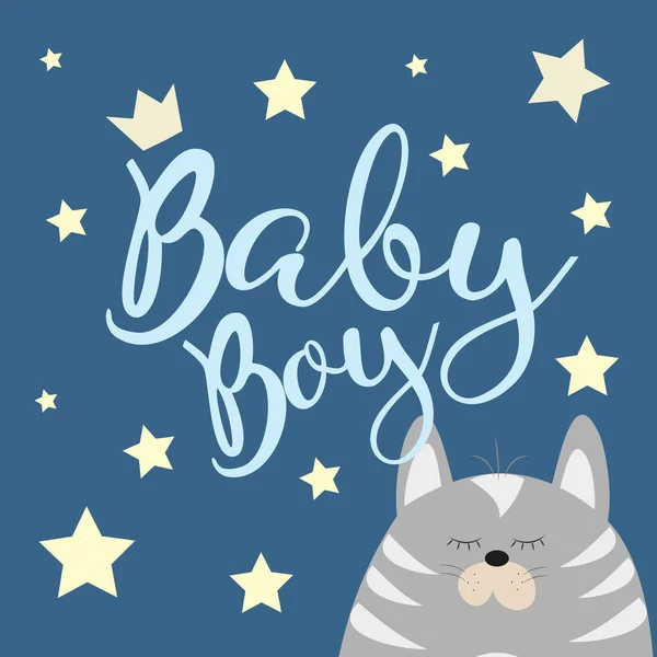 Caligrafia Baby Boy Com Gato Bonito Estrelas Decoração Quarto Bebê —  Vetores de Stock