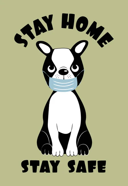 Stay Home Stay Safe Texto Con Boston Terrier Virus Corona — Vector de stock