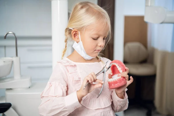 Una dulce niña jugando con una mandíbula artificial e instrumentos médicos en una clínica dental — Foto de Stock