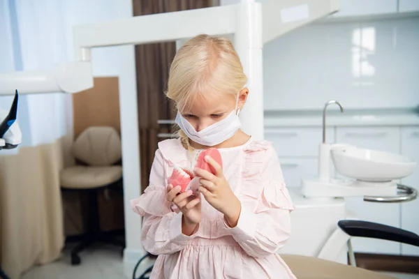 Een kind dat de menselijke kaakstructuur leert bij de tandartsen. — Stockfoto