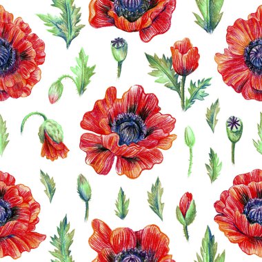 haşhaş çiçekleri