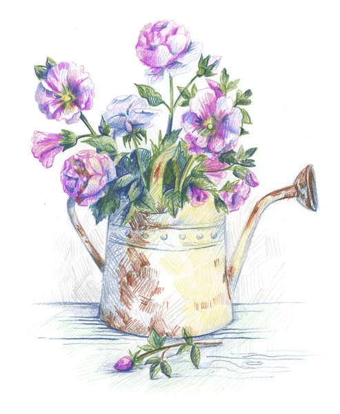 English roses — Stock Photo, Image
