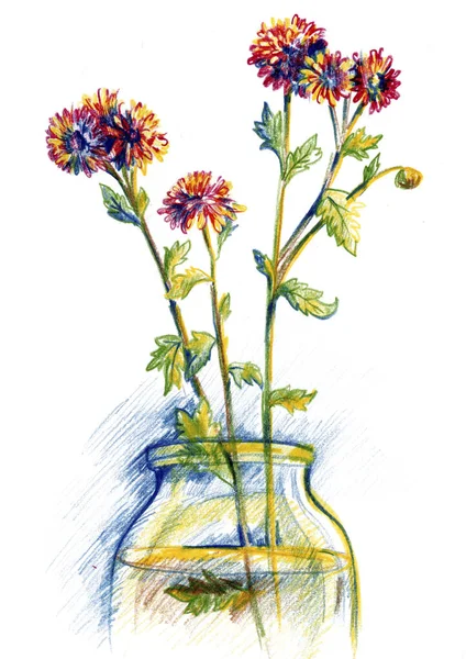 Цветы красной хризантемы — стоковое фото