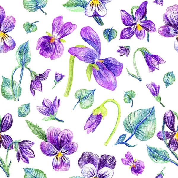 보라색 제비꽃 무늬 — 스톡 사진
