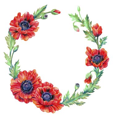 haşhaş çiçekleri