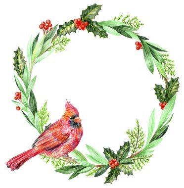 Bir dalda Noel çelengi kırmızı kardinal kuşu. Holly ve thuja.