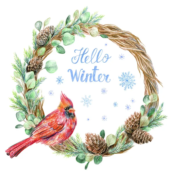 Helló, téli kártya. Karácsonyi koszorú piros bíboros madár egy elágazás — Stock Fotó