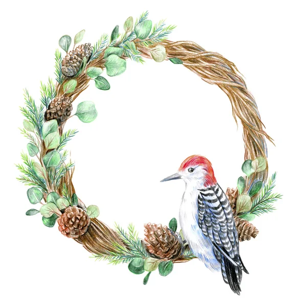 Christmas wreath woodpecker bird on a branch with Fir cones and — Stock Photo, Image