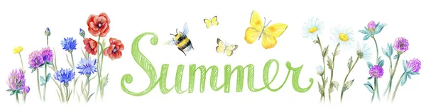 Yaz logosu. Kelebekler, yaban arıları, çayır çiçekleri. — Stok fotoğraf