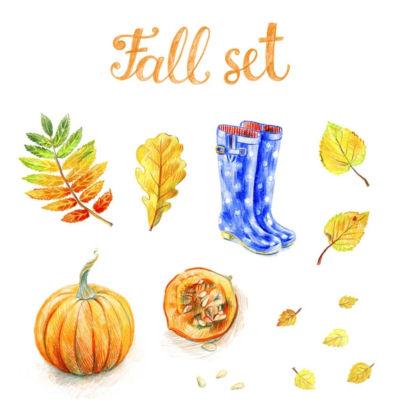 Autumn set isolated on a white background. Pumpkin, foliage, rub — Stock Photo, Image