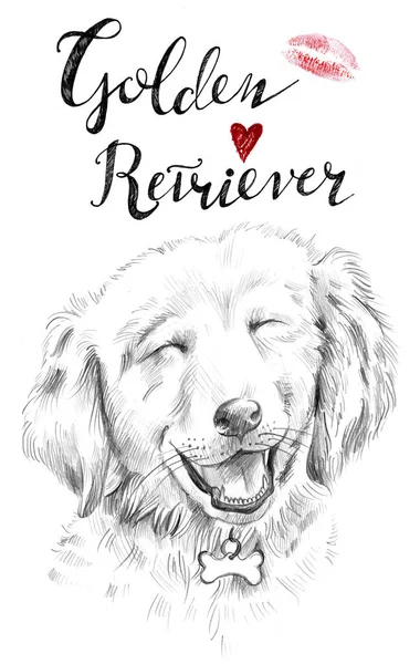 Golden Retriever. Porträt eines Hundes. Typografie. — Stockfoto