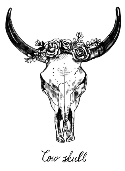 Skull of a cow. Flower wreath.